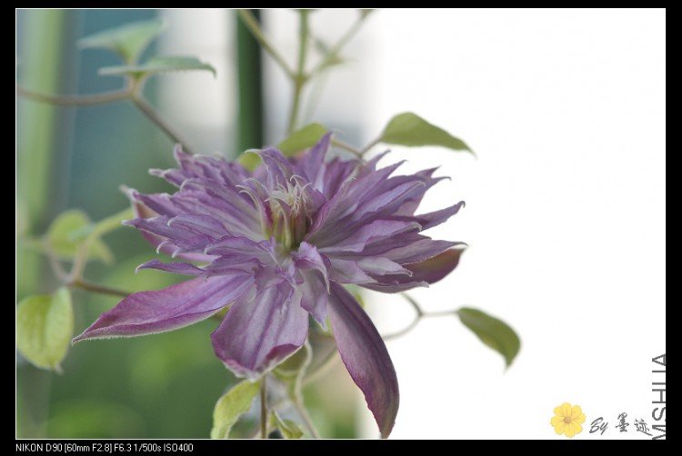 nEO_IMG_��Ƭ 001.jpg