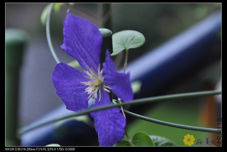 nEO_IMG_��Ƭ 096.jpg