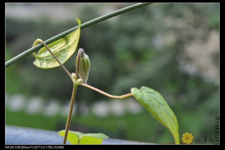 nEO_IMG_��Ƭ 034.jpg