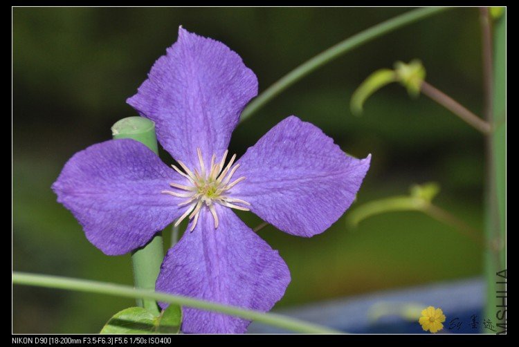 nEO_IMG_��Ƭ 098.jpg