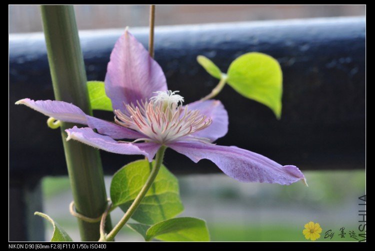 nEO_IMG_��Ƭ 033.jpg