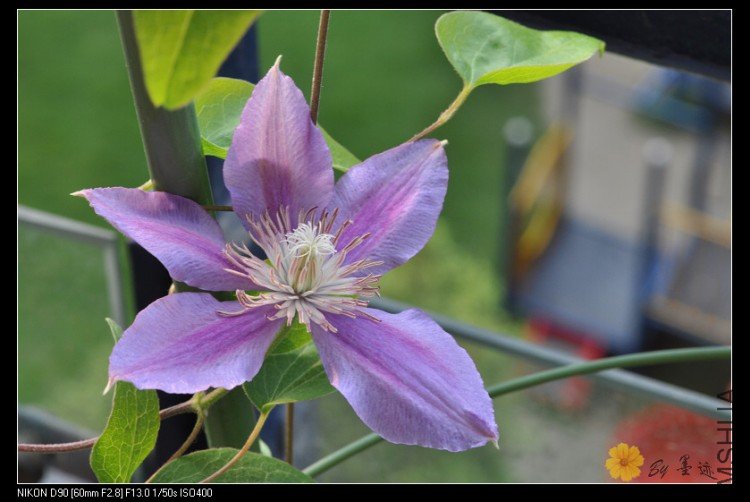 nEO_IMG_��Ƭ 032.jpg