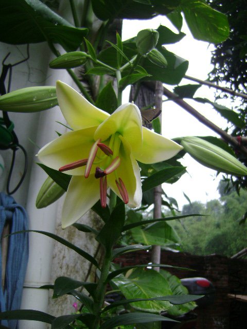 DSC04423.JPG