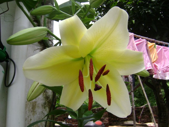 DSC04435.JPG