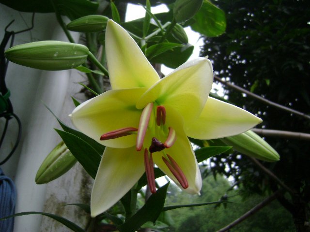 DSC04432.JPG