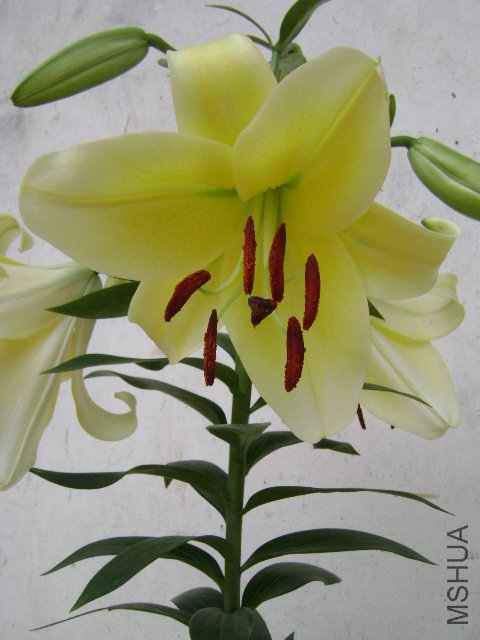 DSC04447.JPG