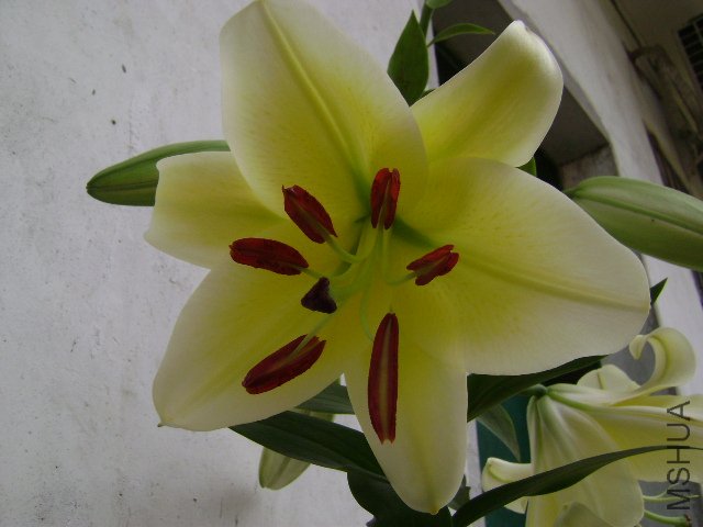 DSC04444.JPG