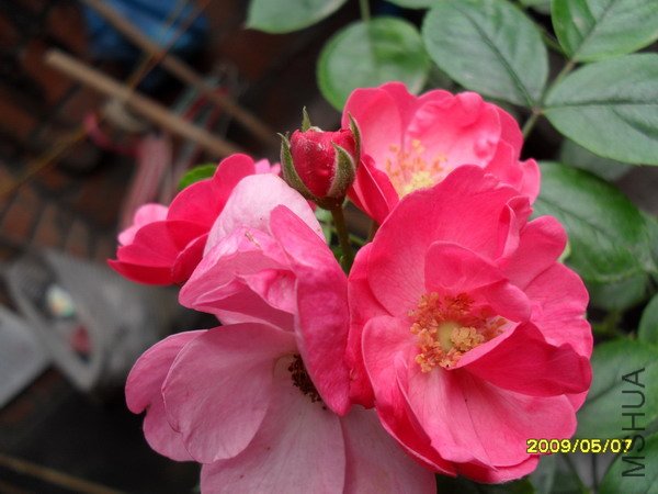 SDC10840.jpg