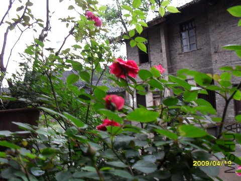 SDC10440.jpg
