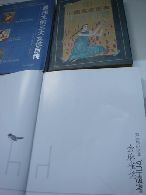 DSC01063.JPG