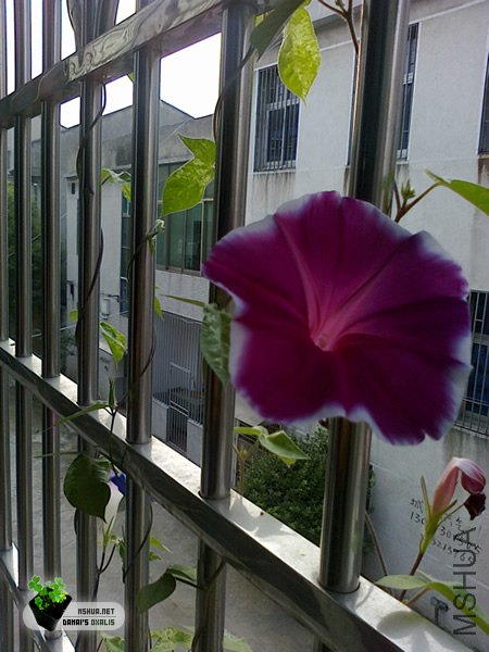 20090926012.jpg