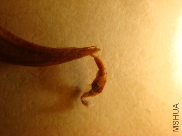DSC05520.JPG