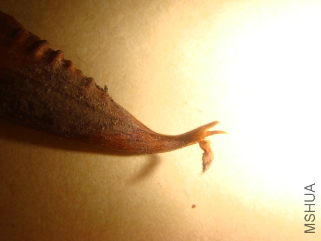 DSC05519.JPG