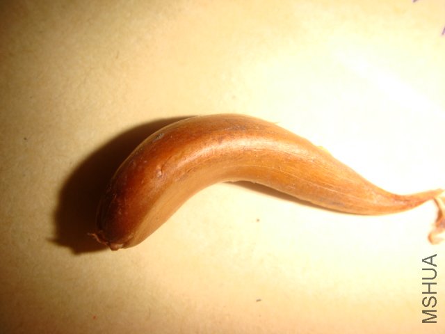 DSC05521.JPG