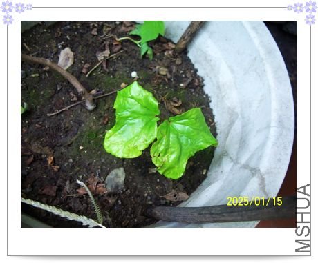 �����ֵ��¹⣬�ոշ�ѿ