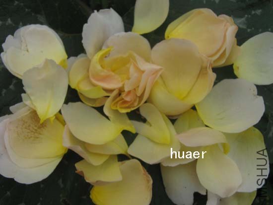 IMG_6186 ����.jpg