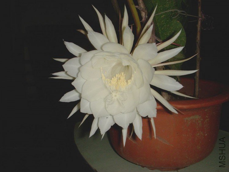 DSCN0439.jpg