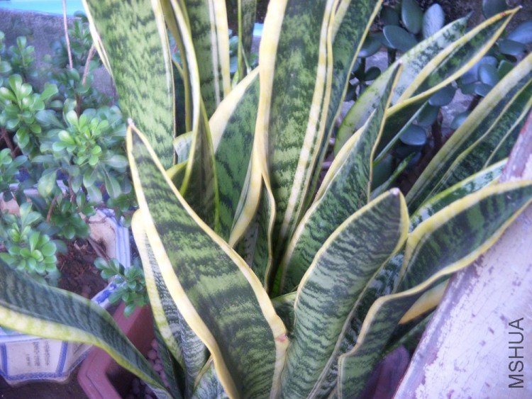 DSCN0421.jpg