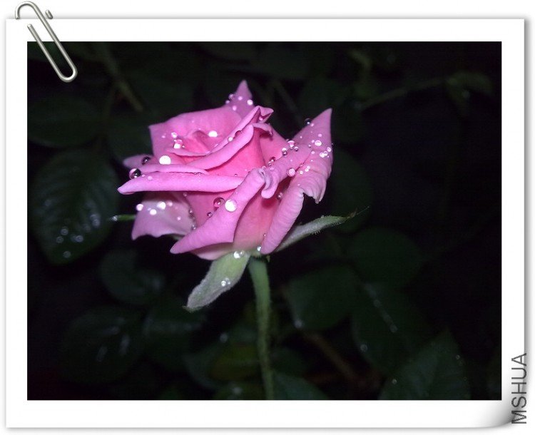 200908281202.jpg