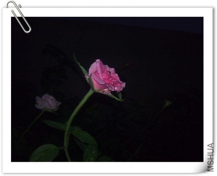 200909041316.jpg