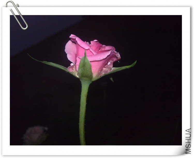 200909041302.jpg
