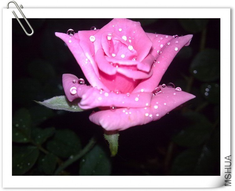 200908281198.jpg