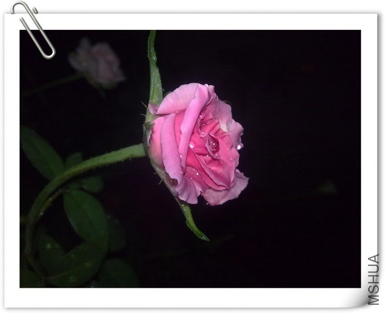 200909041314.jpg