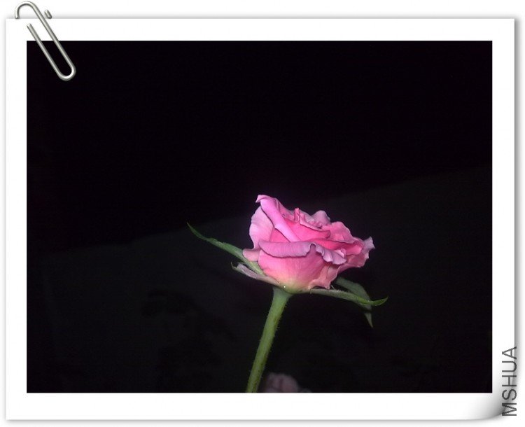 200909051344.jpg