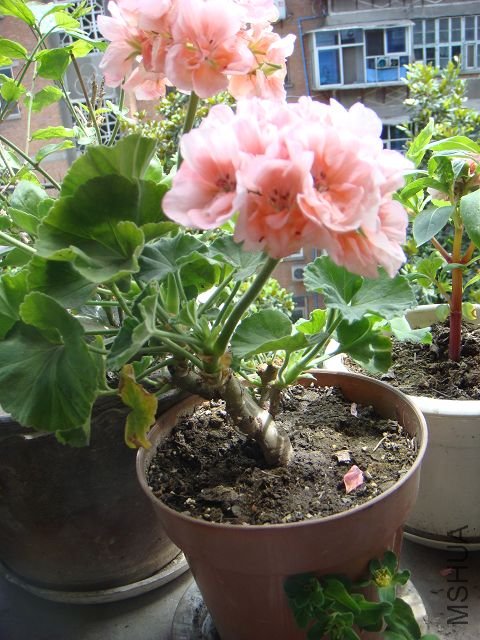 49_30900_3c6c83b8620be78.jpg