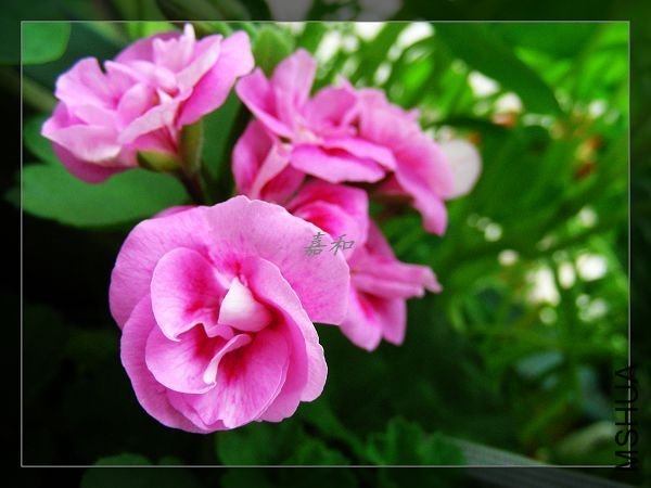 nEO_IMG_090304 390.jpg