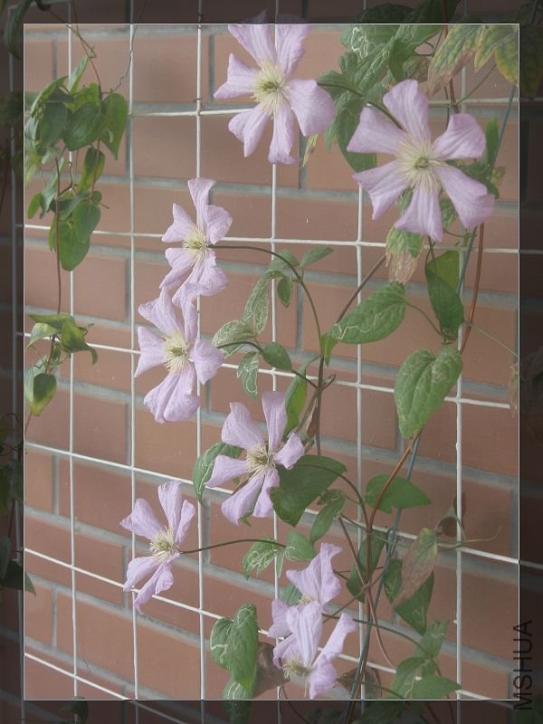 ��������һ������������