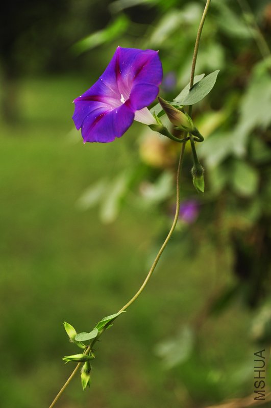 _DSC0032-.jpg