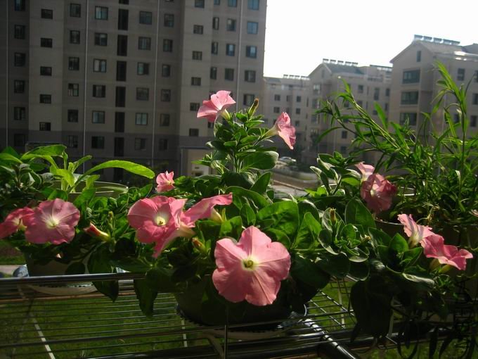 ������С ��Ƭ 005.jpg