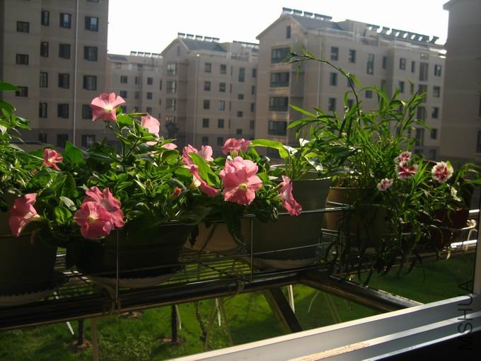 ������С ��Ƭ 048.jpg