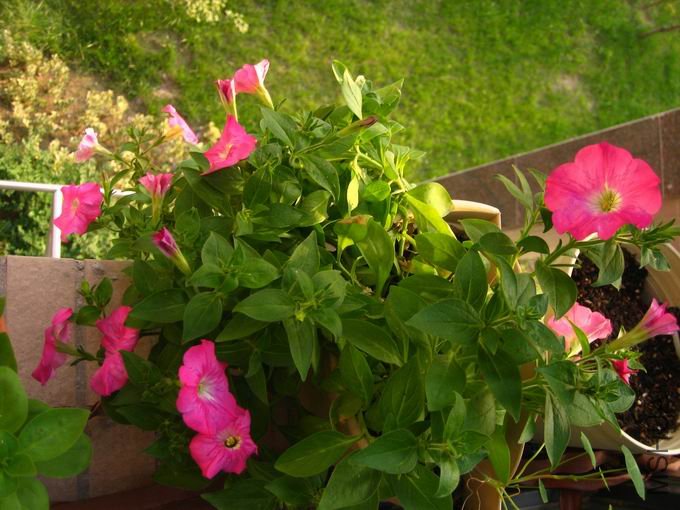 ������С ��Ƭ 049.jpg