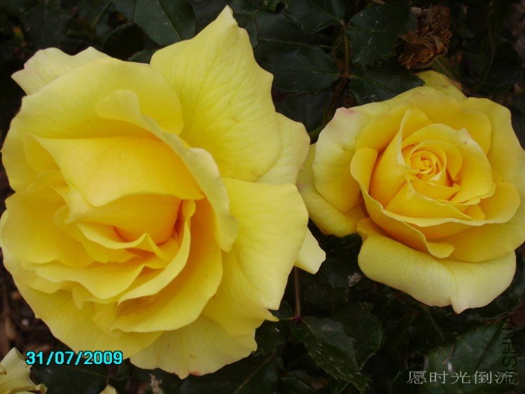 ������ʲô������