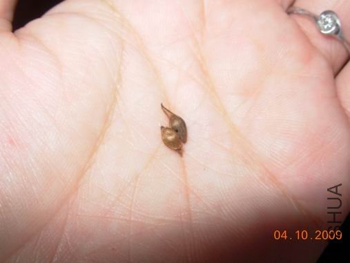 ������С DSCN5896.JPG