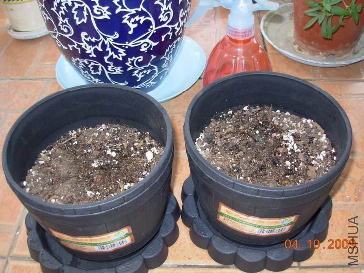 ������С DSCN5903.JPG