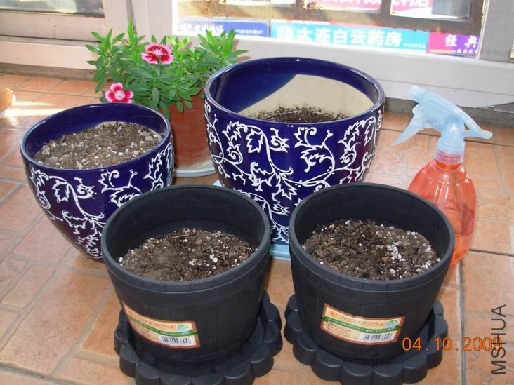 ������С DSCN5904.JPG