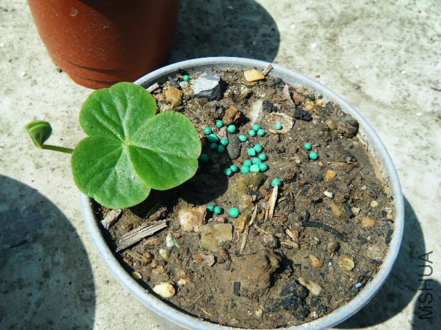 DSCF0430.jpg