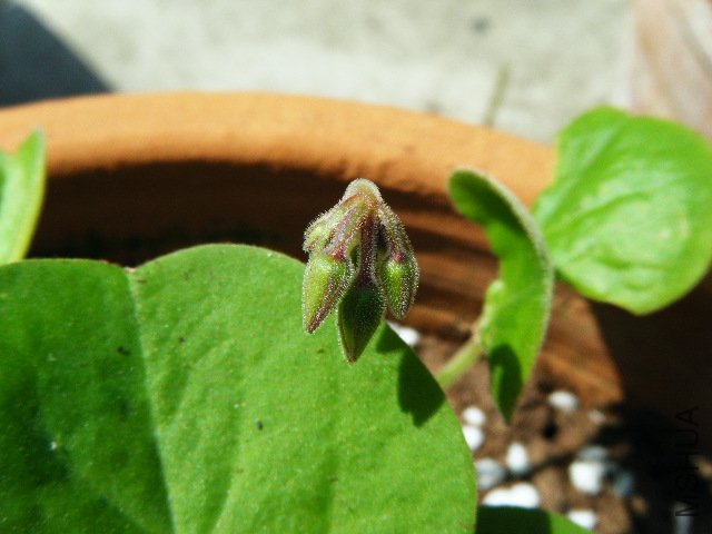 DSCF0427.jpg