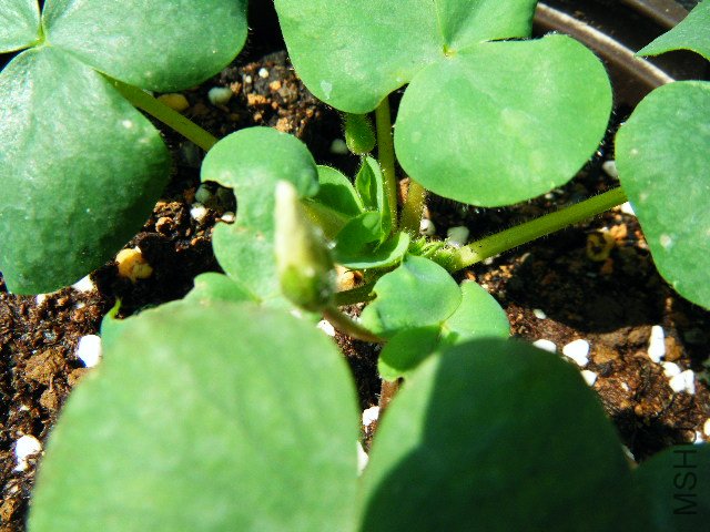 DSCF0432.jpg
