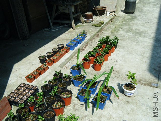 DSCF0443.jpg