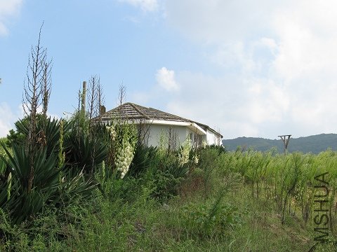IMG_1566_nEO_IMG.jpg