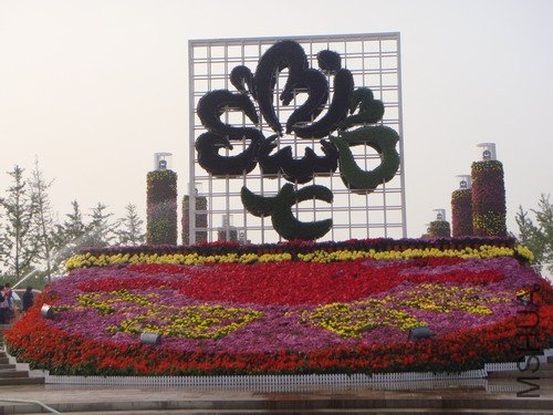 102.jpg