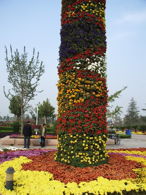 136.jpg