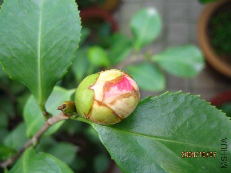 ��Ƭ09-10-7 00711.jpg