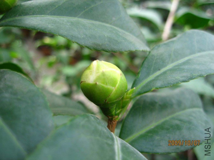 ��Ƭ09-10-7 01311.jpg