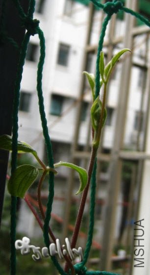 2009-10-07 �����Ļ���-do.jpg