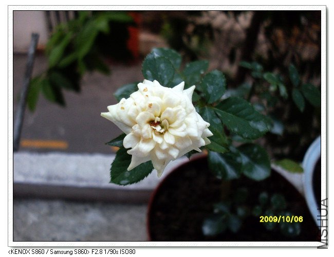 SDC11780_nEO_IMG.jpg